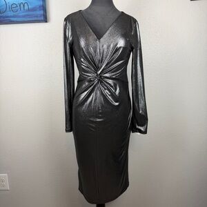 NWT! Shimmering Long Sleeve Dress